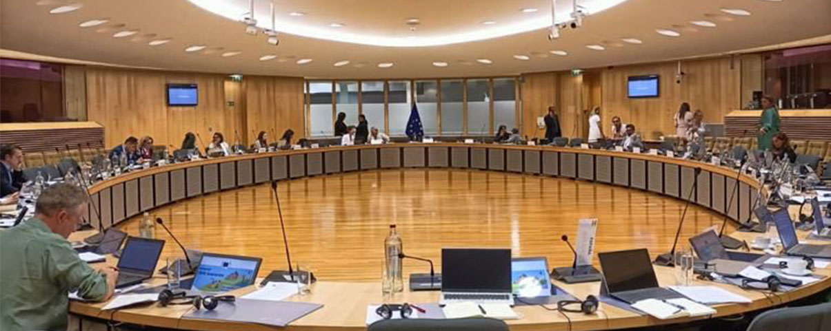 Incontro dei Coordinatori Nazionali per il secondo anniversario della Garanzia Europea per l’infanzia